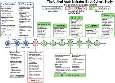 The First United Arab Emirates National Representative Birth Cohort Study: Study Protocol